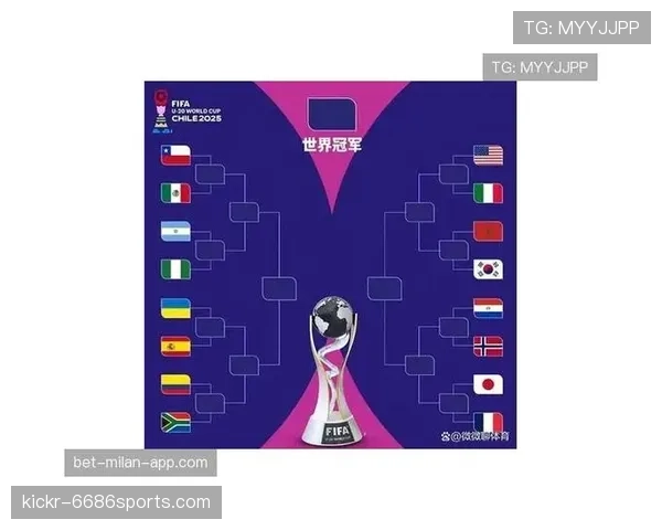 2026世界杯F组积分变化：末轮后排名正式确定